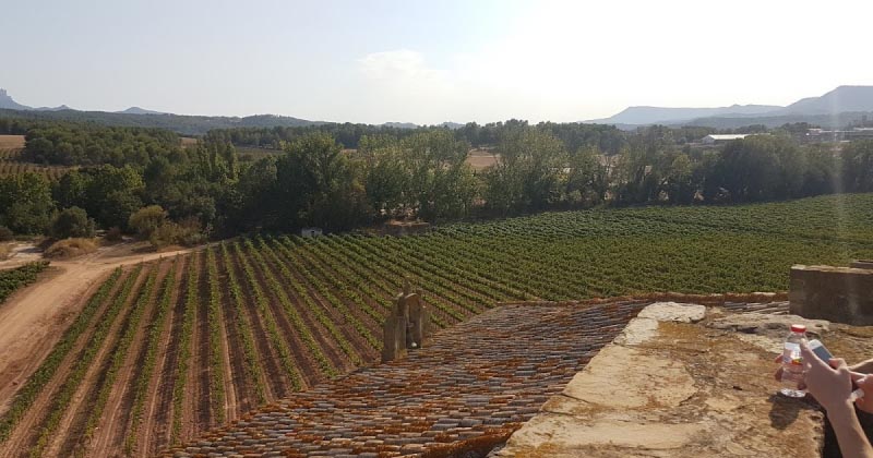 In And Around Barcelona