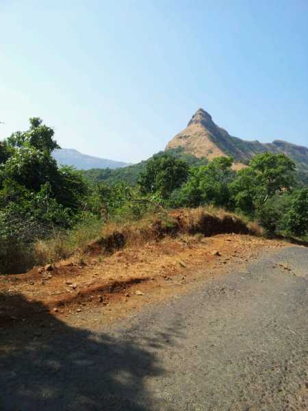 In Pursuit Of Pawana