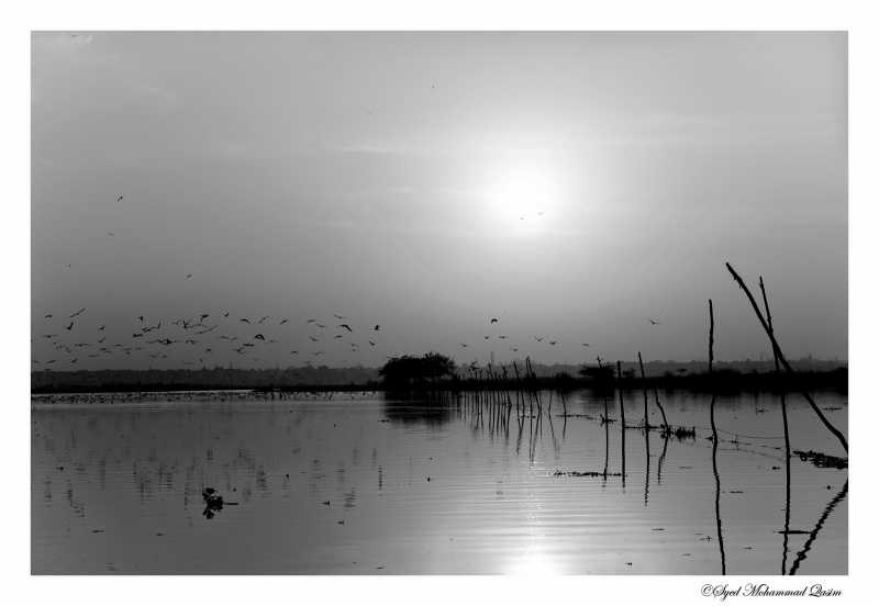 In Service, With  Grace!