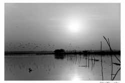 in service, with  grace!