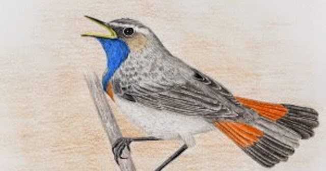 In The Midst Of Early Spring