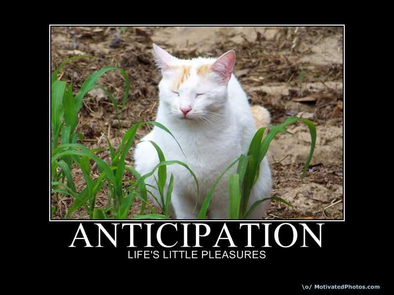 In The Blink Of An Eye