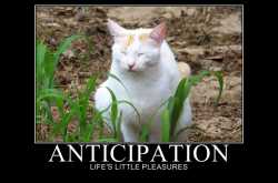 In the blink of an eye