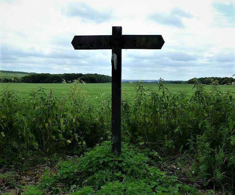 In The Pursuit Of # Writephoto