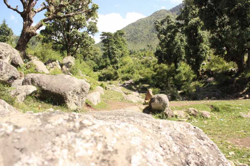 Inception In McLeod!