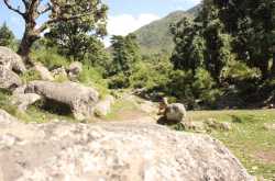 Inception in McLeod!