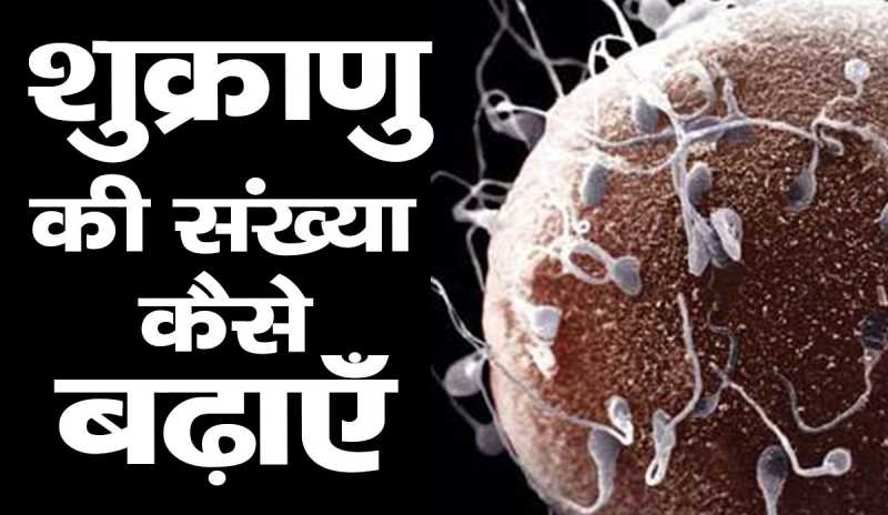 Increase Sperm Count At Home & शुक्राणु बढ़ाने की दवा ? - RemedyBoss
