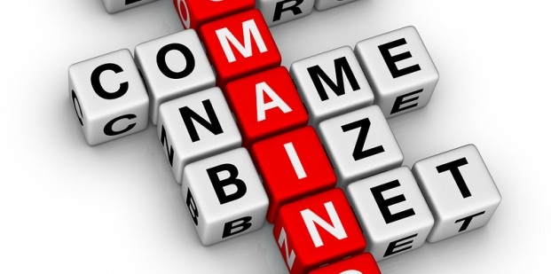 India Domain Data â Aug 2014 | Vinay Murarka