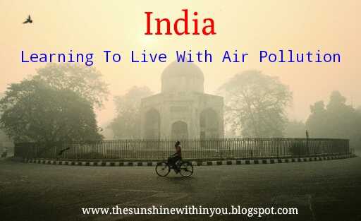 India Learning To Live With Air Pollution