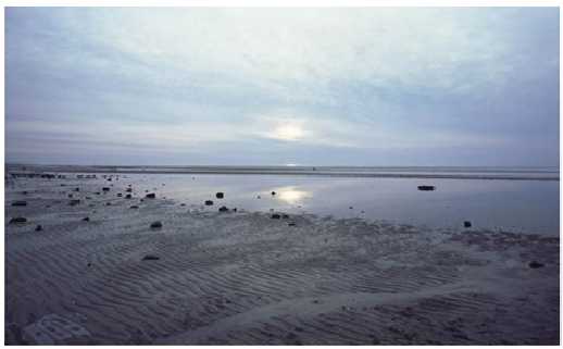 India, The Land Of Endless Journeys ……