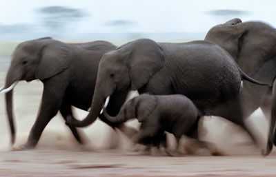 India Will Develop, But When?