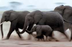 India will develop, but when?