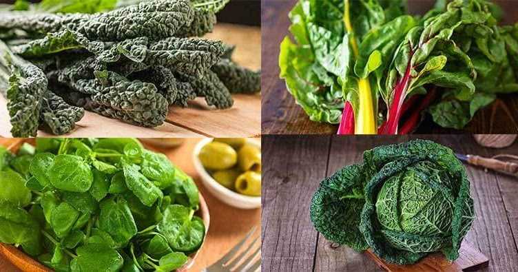 Indian Green Leafy Vegetables And Their Benefits     