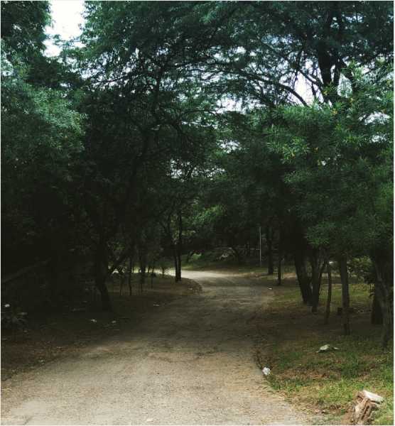 Indian Mountaineering Foundation