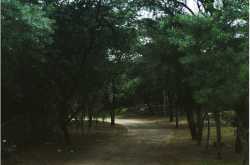 Indian Mountaineering Foundation