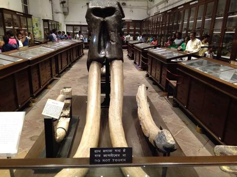 Indian National Museum