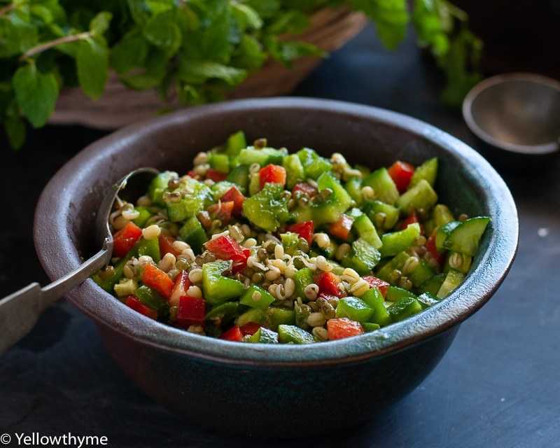Indian Sprout Salad- Coriander And Mint Chutney Dressing