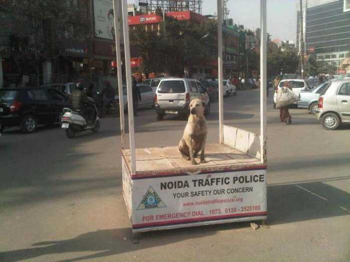 Indian Traffic: Sometimes The Road Less Traveled Is Less Traveled For A Reason!