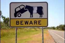 Indian livestock & global warming