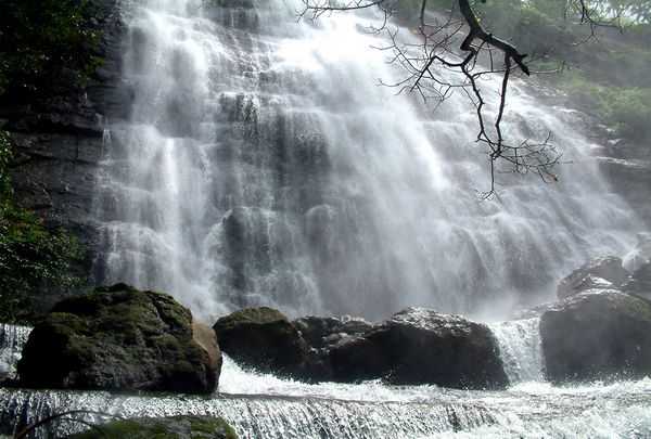 Indulge In The Beauty Of Famous Pykara Falls - Viral Stories