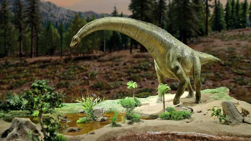 Informatics Centre And Museum Of Dinosaur Fossils At Balasinor, Gujarat