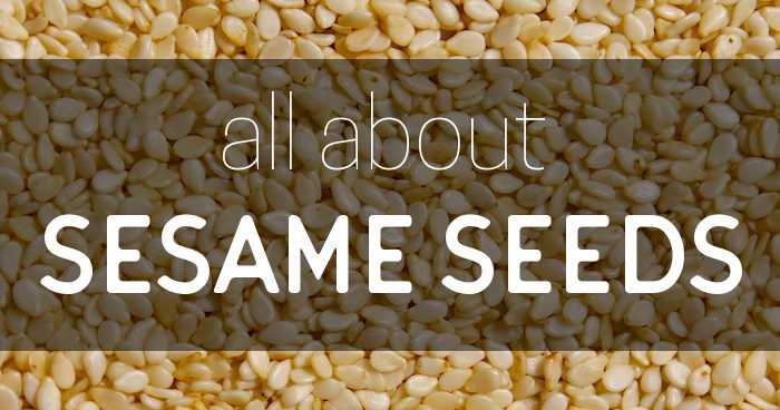 Ingredients: Sesame Seeds, Til, Tal, Tillu, Teel, Gingelly, Gingili, Gingilli, Semsem, Simsim