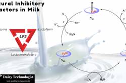 Inherent Antimicrobial Agents in Milk: What Keeps Your Milk Fresh - Dairy Technologist