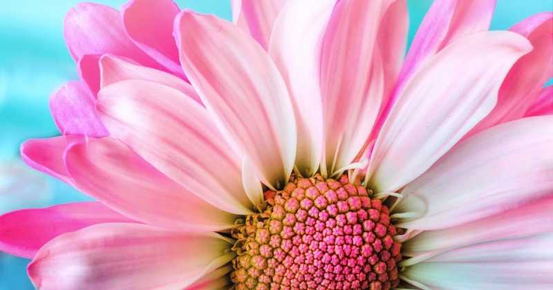 Injustice To Ourself