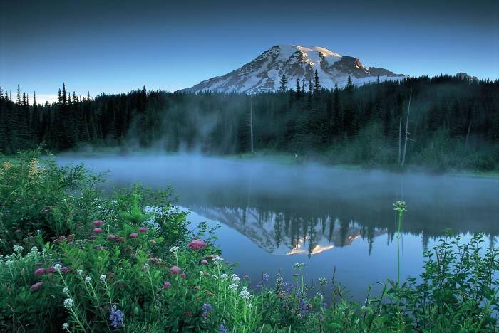 Inspiration- An Analytical Insight