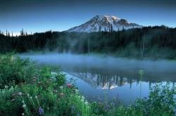 Inspiration- An analytical insight