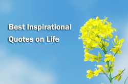 Inspirational Quotes on Life with Pictures