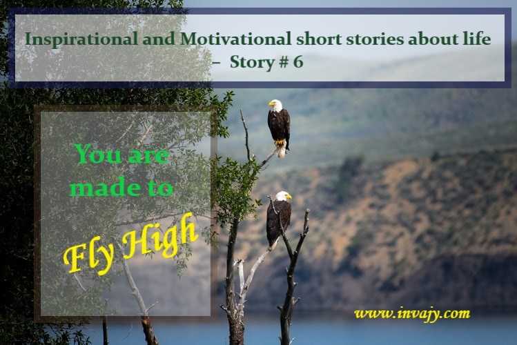 Inspirational And Motivational Short Stories About Life - You Are Made To Fly High (Story # 6) | Invajy