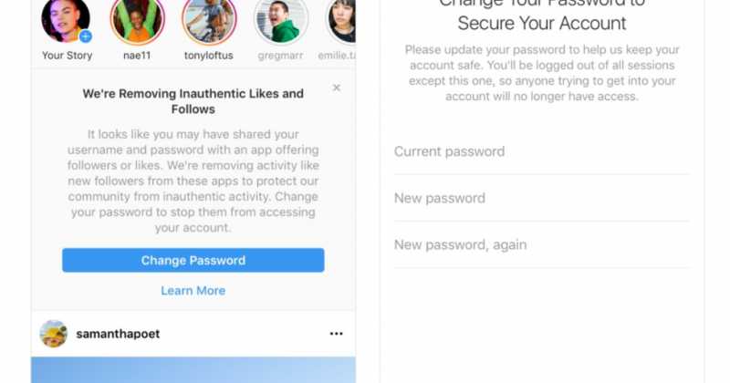 Instagram Started Removing Fake Likes, Follows, And Comments From Accounts - The | TechVerts
