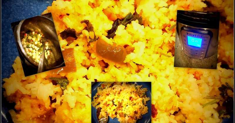 Instant Pot Paneer Fried Rice