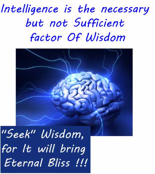 Intelligence And Wisdom !!
