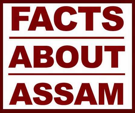 Interesting Facts About Assam You Probably Didn’t Know