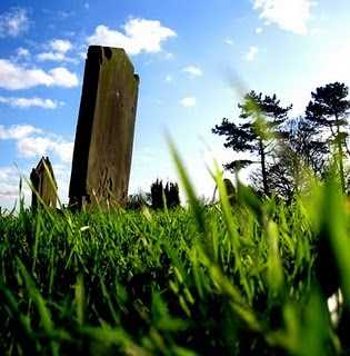 Into The Graveyard (Little Bile - Part II)