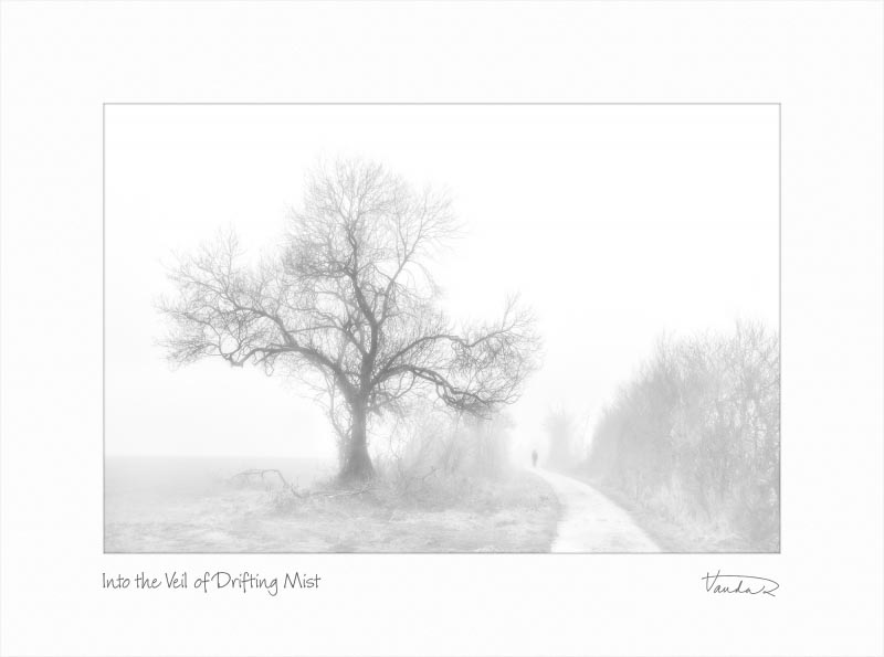 Into The Veil Of Drifting Mist