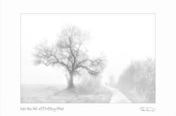 Into the Veil of Drifting Mist