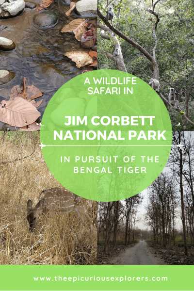 Into The Wild - The Land Of Jim Corbett - The Epicurious Explorers
