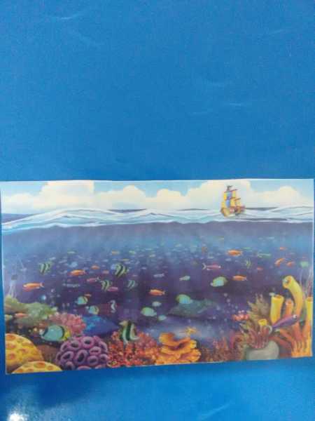 Into The Magical World #colgatemagicalstories