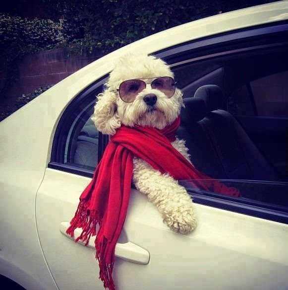 Intolerable Relatives-in-Facebook Syndrome