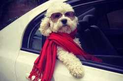 Intolerable Relatives-in-Facebook Syndrome