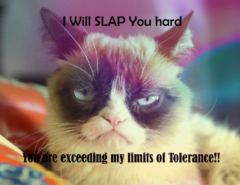 Intolerant India: All In Good Humor