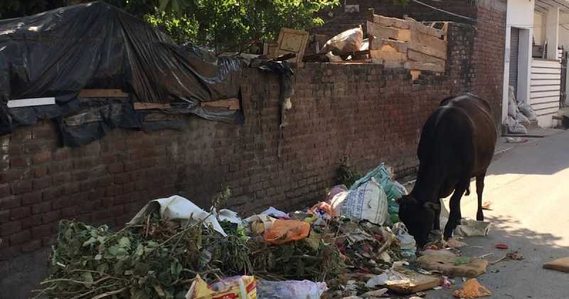 Intro To Solid Waste Management 