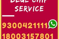 Introducing BLUE CHIP Service For Stock Market Traders