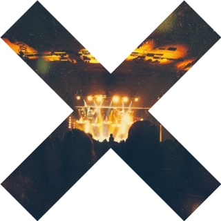 Introvert In A Concert