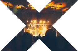 Introvert In A Concert