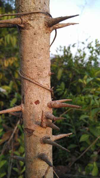 Investigation #SundayPhotoFiction