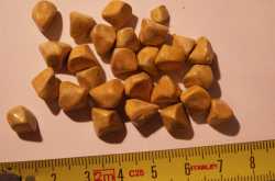 Is Extreme Weight Loss Good or Bad?